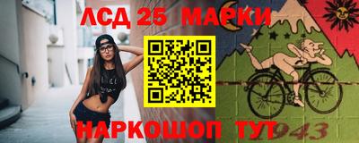 стаф Нальчик