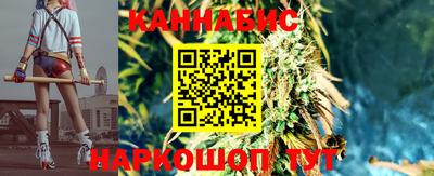 стаф Нальчик
