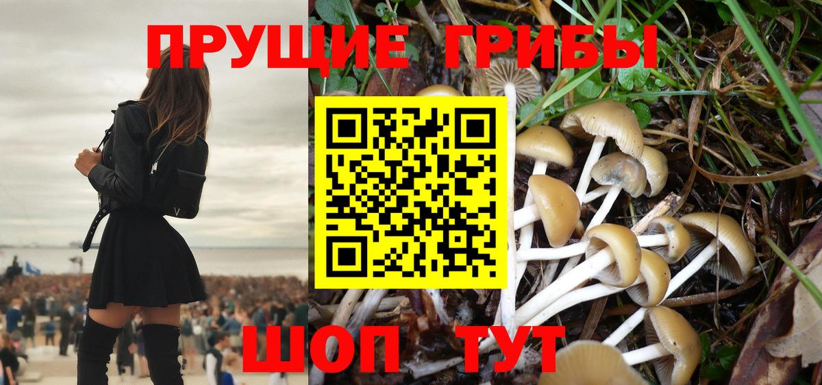 Галлюциногенные грибы MAGIC MUSHROOMS  где найти   Севастополь  Вход с VPN  Псилоцибиновые грибы ЛСД 