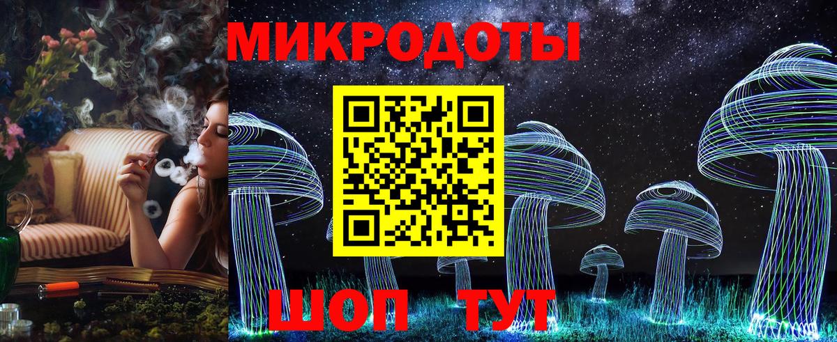 Псилоцибиновые грибы Psilocybe Севастополь